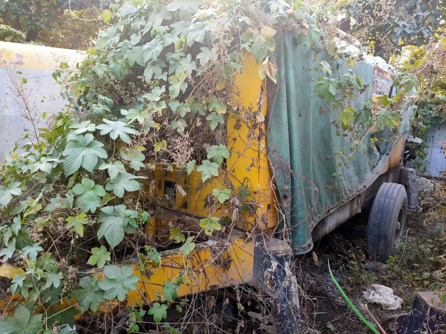 https://images.tongzsf.com/tong/truck_machine/20210128/160121cb7edfea.jpg