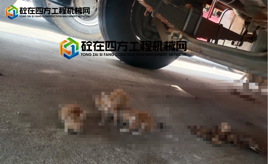 https://images.tongzsf.com/tong/truck_machine/20250808/16895b0df88ede.png
